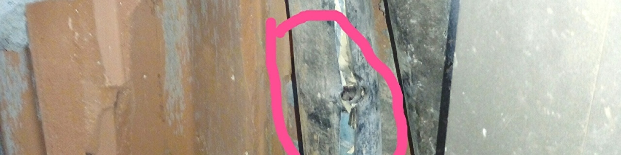 IMG_20190418_101207.jpg